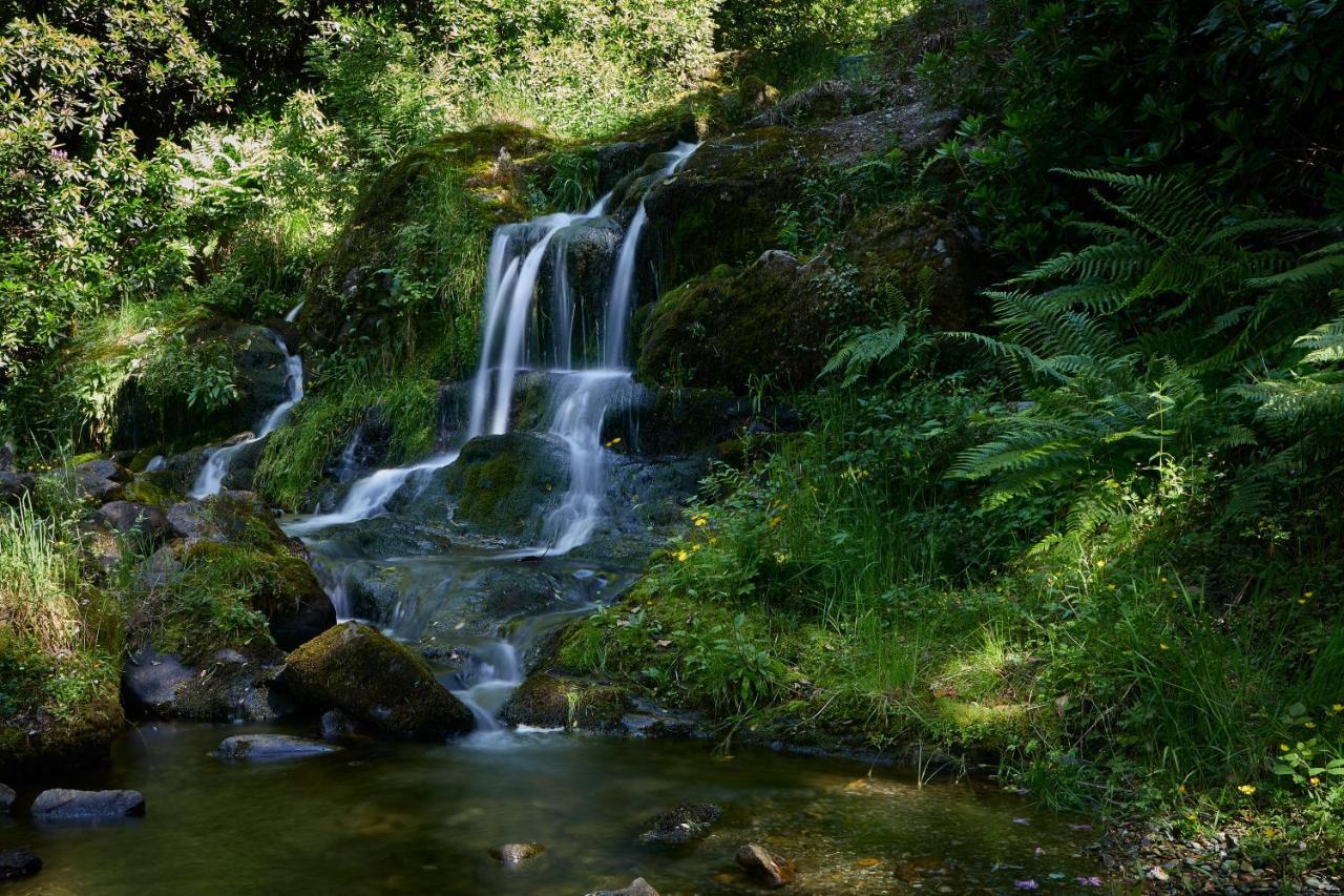 Macdonald Forest Hills & Aberfoyle (Stirling)